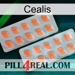 Cealis 27